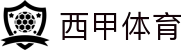 西甲体育 - 西班牙足球甲级联赛最新资讯、赛程、积分榜与新闻